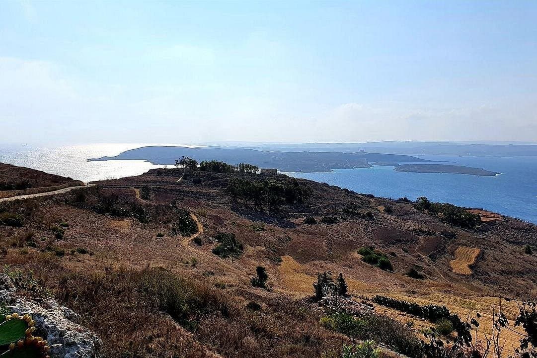 View from a Gozo buggy loop toward Comino and Malta.